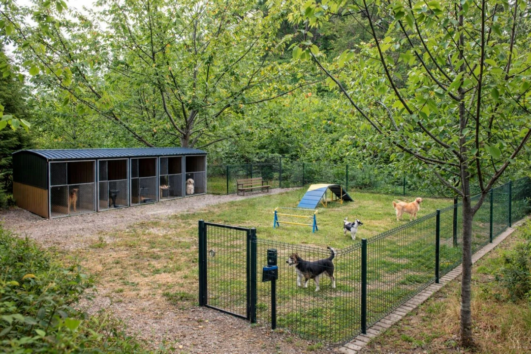 Terreno Agricola ou Rústico para Venda em Lamas e Cercal Foto 19