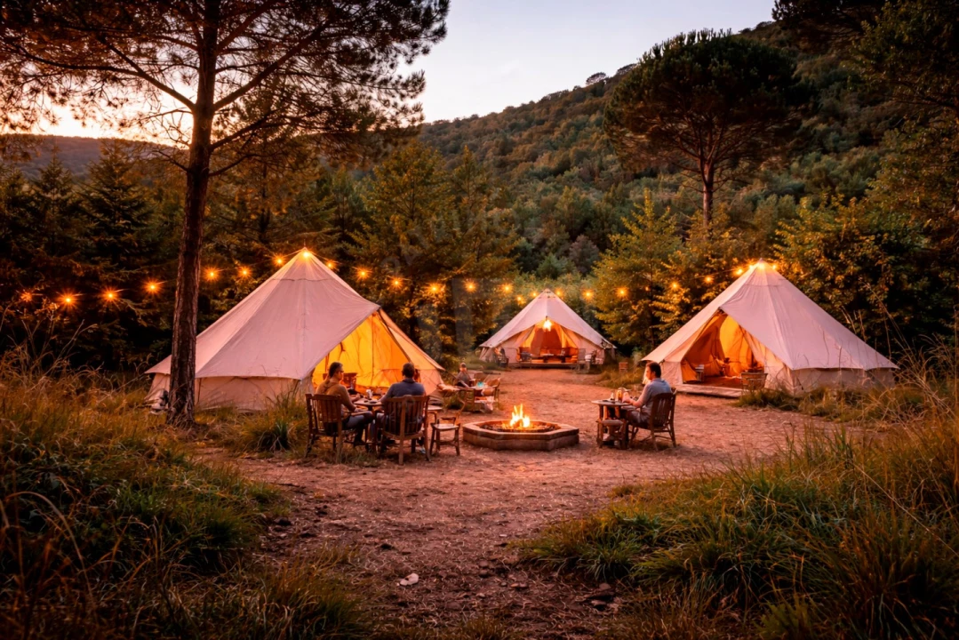 Terreno Agricola ou Rústico para Venda em Lamas e Cercal Foto 21