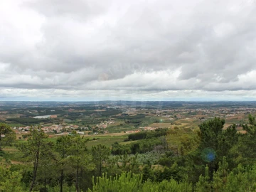 Terreno Agricola ou Rústico para Venda em Lamas e Cercal