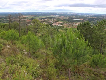 Terreno Agricola ou Rústico para Venda em Lamas e Cercal