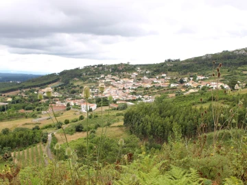 Terreno Agricola ou Rústico para Venda em Lamas e Cercal