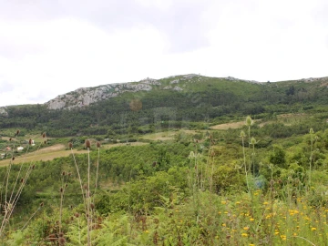 Terreno Agricola ou Rústico para Venda em Lamas e Cercal