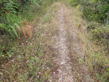 Terreno Agricola ou Rústico para Venda em Lamas e Cercal
