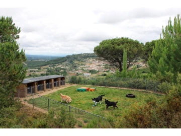 Terreno Agricola ou Rústico para Venda em Lamas e Cercal