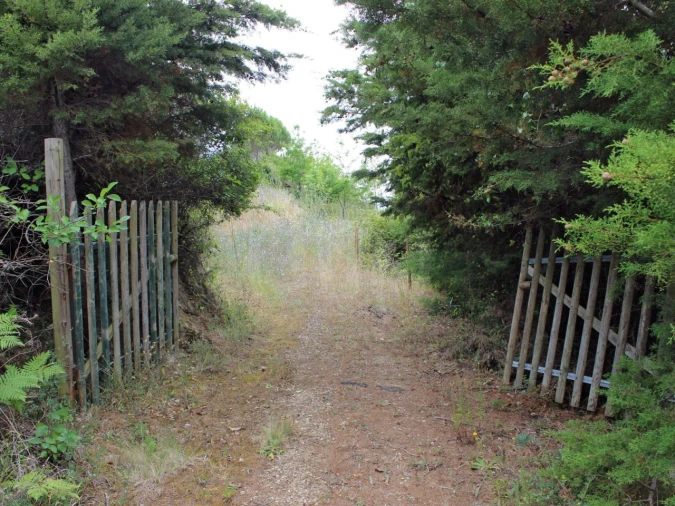 Terreno Agricola ou Rústico para Venda em Lamas e Cercal Foto 2
