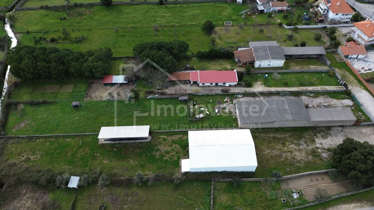 Quinta para Venda em Alcains Foto 3