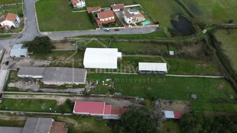 Quinta para Venda em Alcains