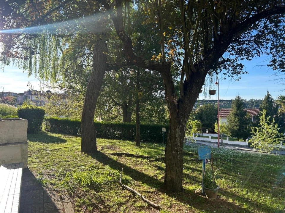 Apartamento T2 para Venda em Abrantes (São Vicente e São João) e Alferrarede Foto 14