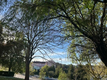 Apartamento T2 para Venda em Abrantes (São Vicente e São João) e Alferrarede