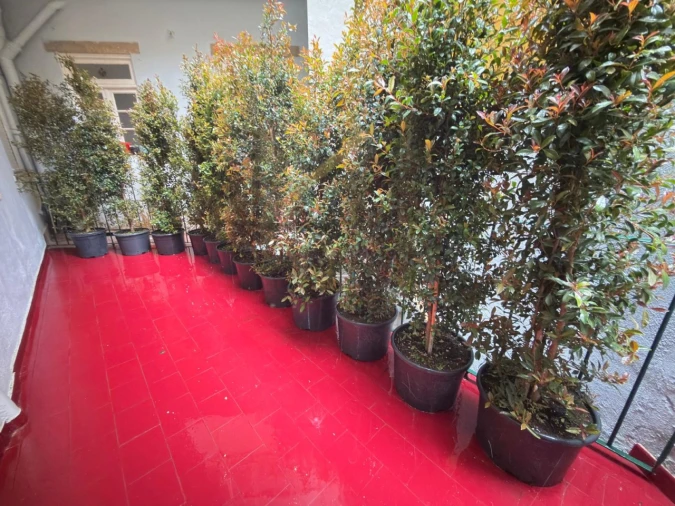 Apartamento T6 para Venda em Santo António Foto 36