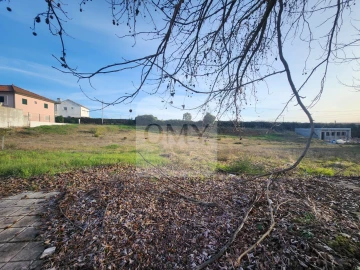Terreno para Venda em São Martinho de Antas e Paradela de Guiães