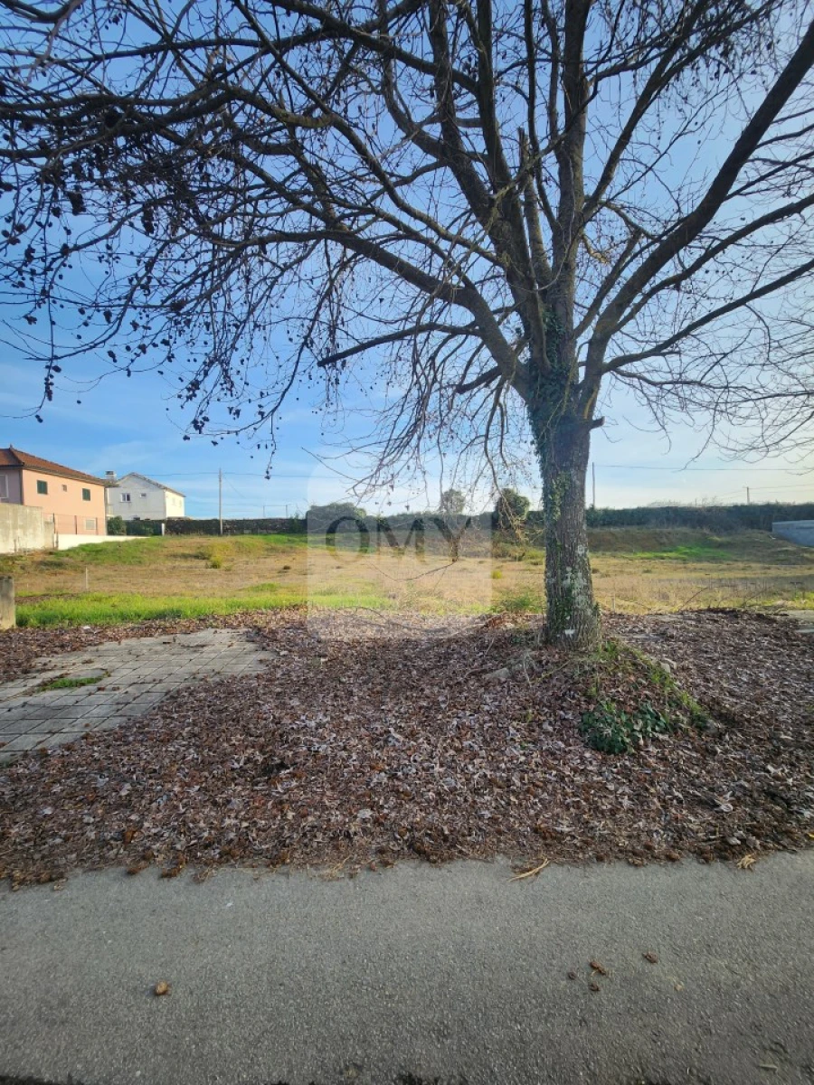 Terreno para Venda em São Martinho de Antas e Paradela de Guiães Foto 9