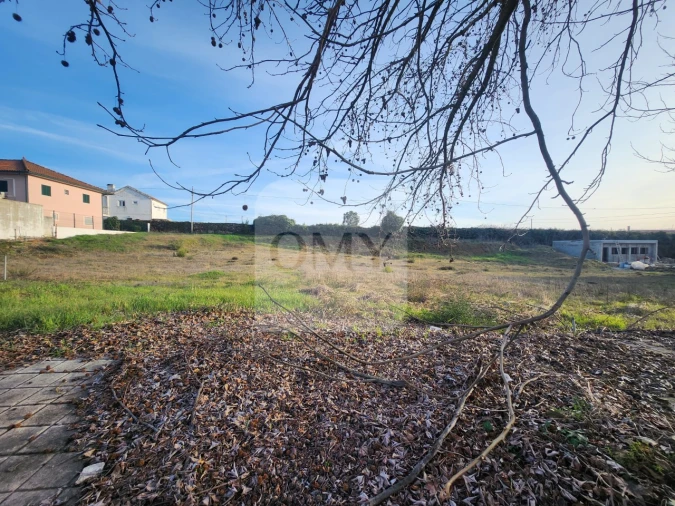 Terreno para Venda em São Martinho de Antas e Paradela de Guiães Foto 8