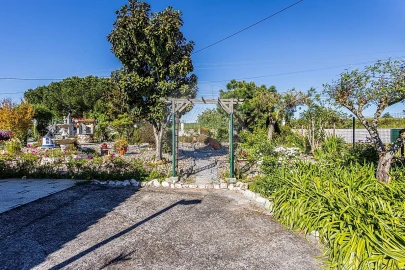 Moradia T3 para Venda em Alpiarça