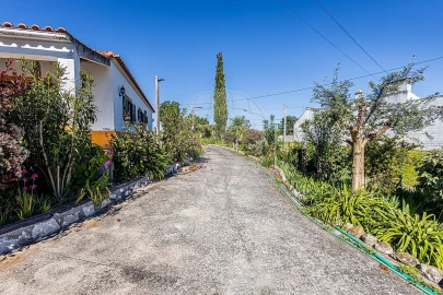 Moradia T3 para Venda em Alpiarça