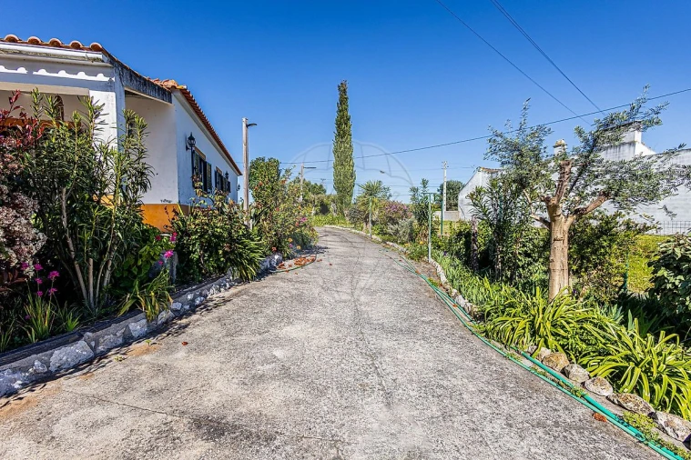 Moradia T3 para Venda em Alpiarça Foto 32