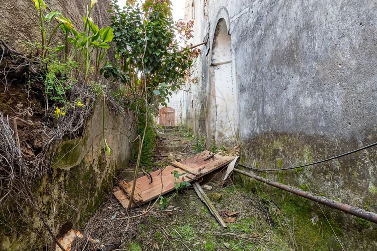 Quinta T11 para Venda em Freiria Foto 34