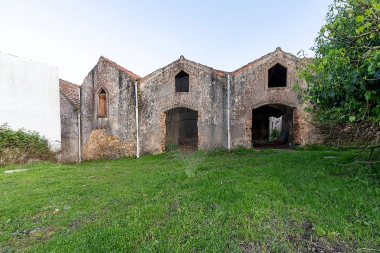 Quinta T11 para Venda em Freiria Foto 40