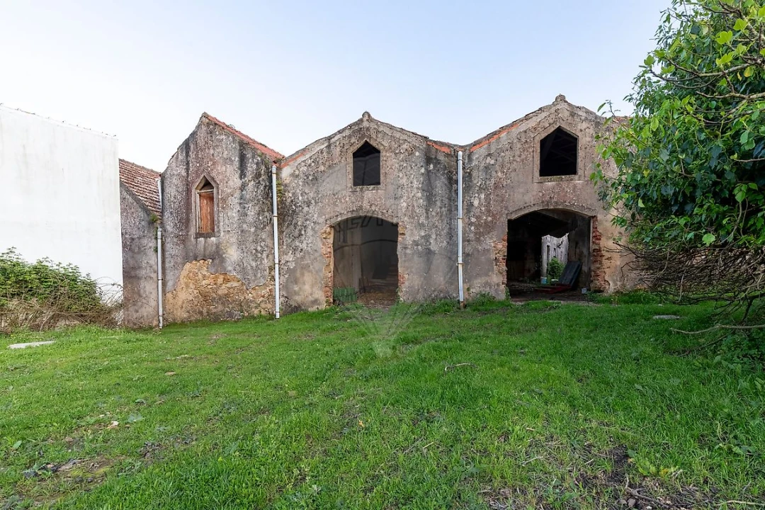 Quinta T11 para Venda em Freiria Foto 40