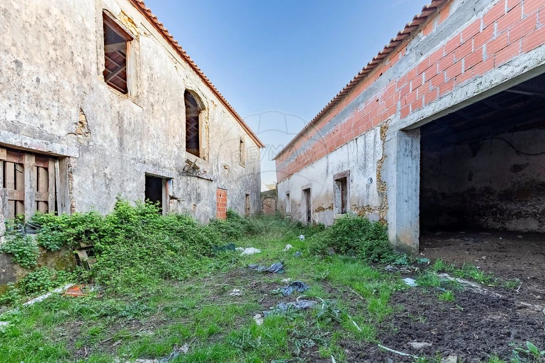 Quinta T11 para Venda em Freiria Foto 36