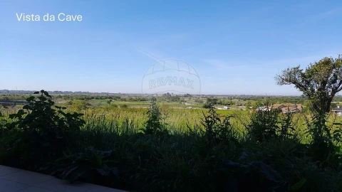 Moradia T3 para Venda em Salreu