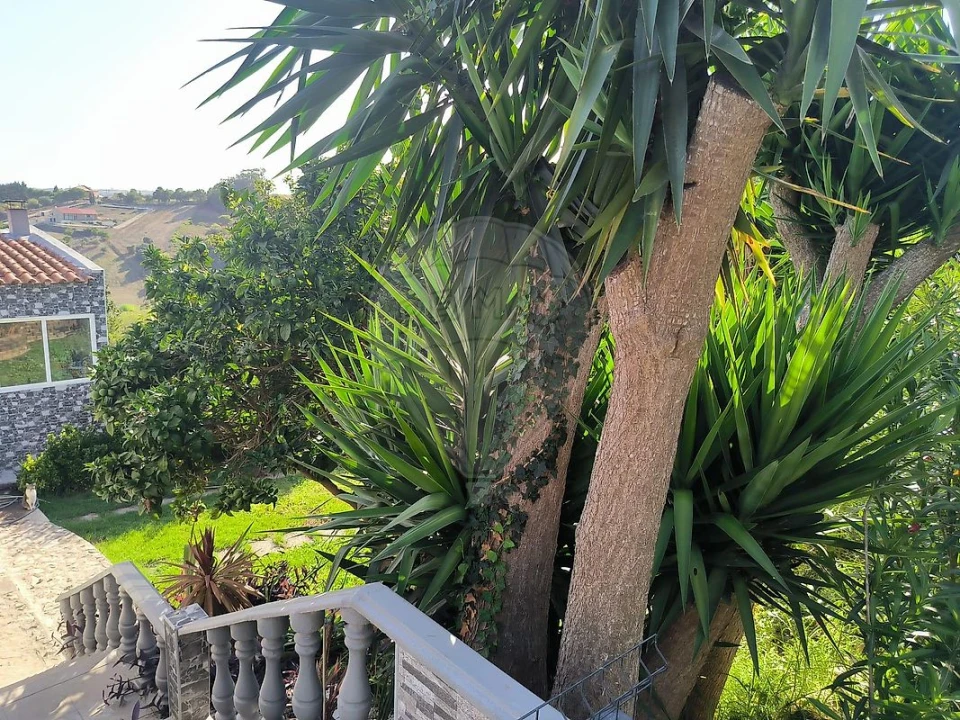 Moradia T2 para Venda em Ribafria e Pereiro de Palhacana Foto 9