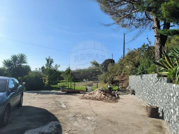 Moradia T2 para Venda em Ribafria e Pereiro de Palhacana