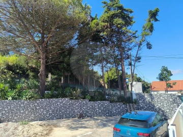 Moradia T2 para Venda em Ribafria e Pereiro de Palhacana