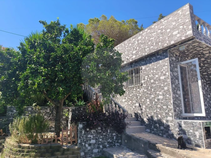 Moradia T2 para Venda em Ribafria e Pereiro de Palhacana Foto 24