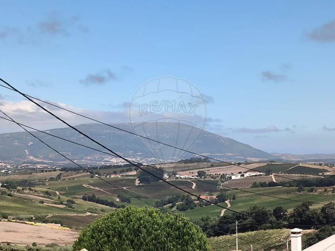 Moradia T2 para Venda em Ribafria e Pereiro de Palhacana Foto 25