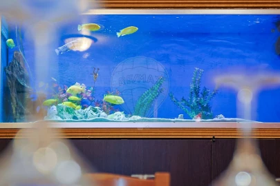 Negócio para Arrendamento em Buarcos