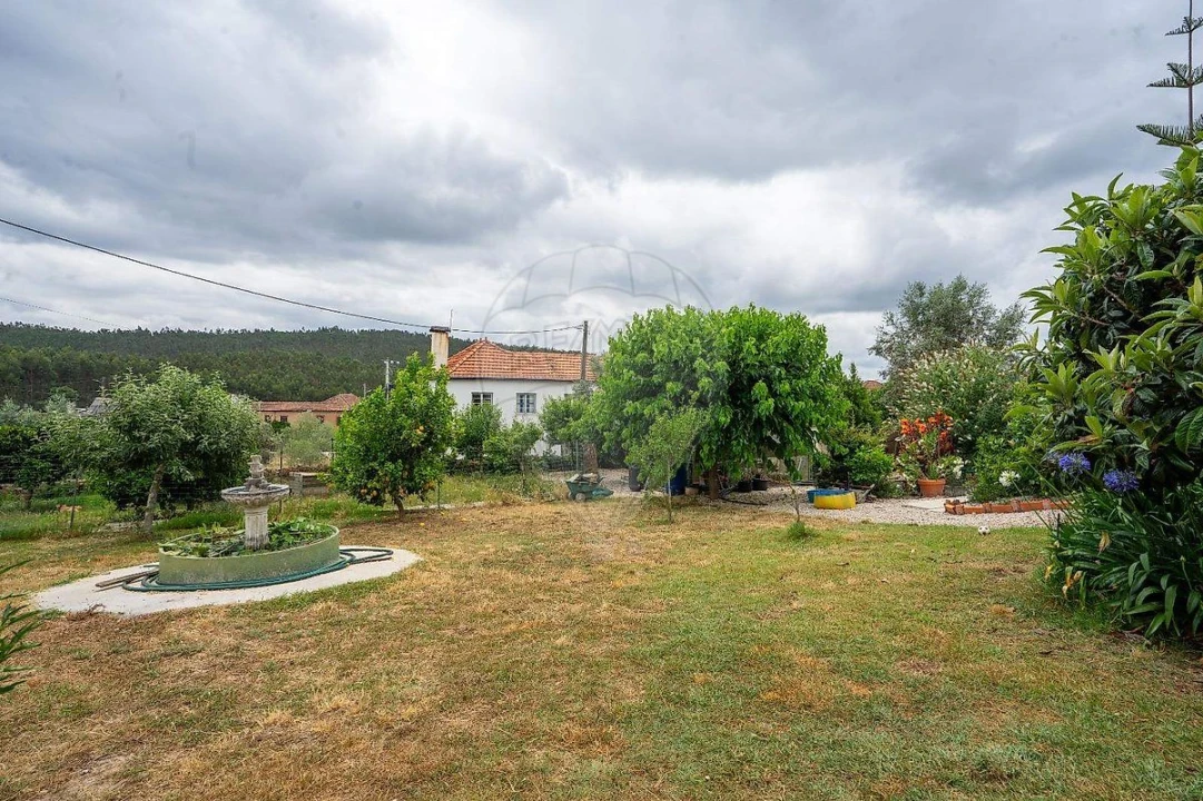 Moradia T3 para Venda em São Miguel de Poiares Foto 44