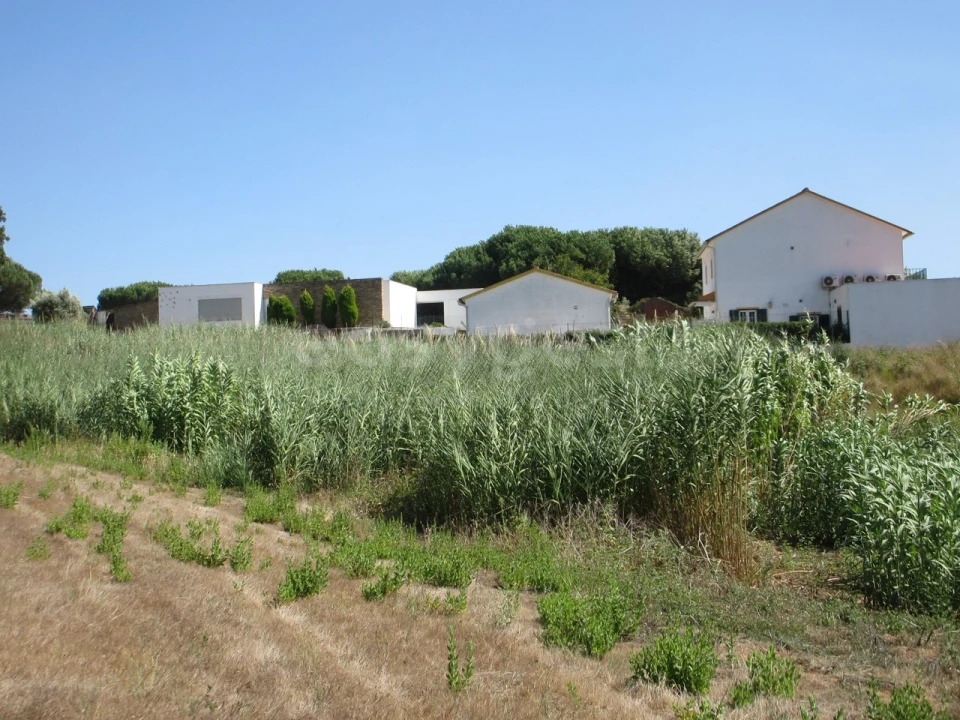 Terreno para Venda em Vidais Foto 6