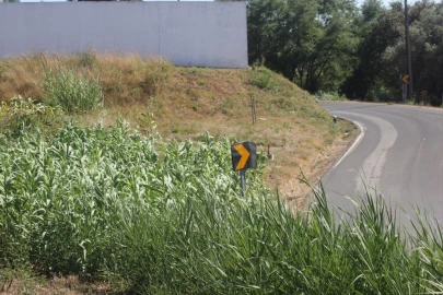 Terreno para Venda em Vidais
