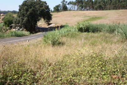 Terreno para Venda em Vidais
