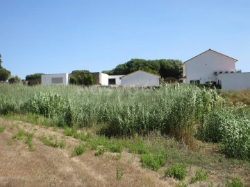 Terreno para Venda em Vidais