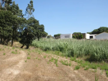 Terreno para Venda em Vidais