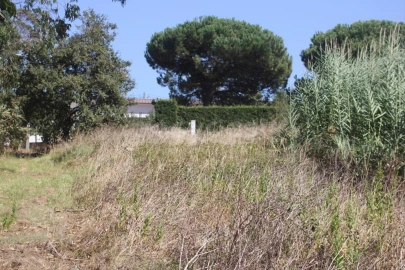 Terreno para Venda em Vidais
