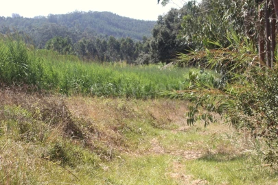 Terreno para Venda em Vidais