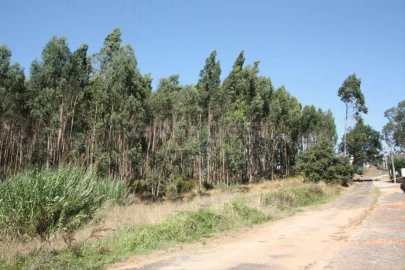 Terreno para Venda em Vidais