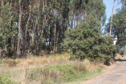 Terreno para Venda em Vidais