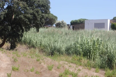 Terreno para Venda em Vidais