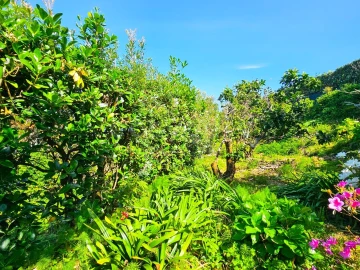 Moradia T2 para Venda em Ajuda da Bretanha