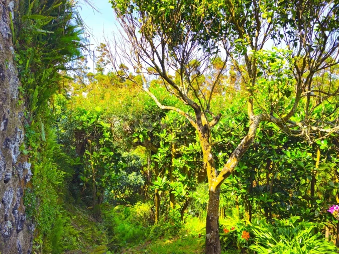 Moradia T2 para Venda em Ajuda da Bretanha Foto 28