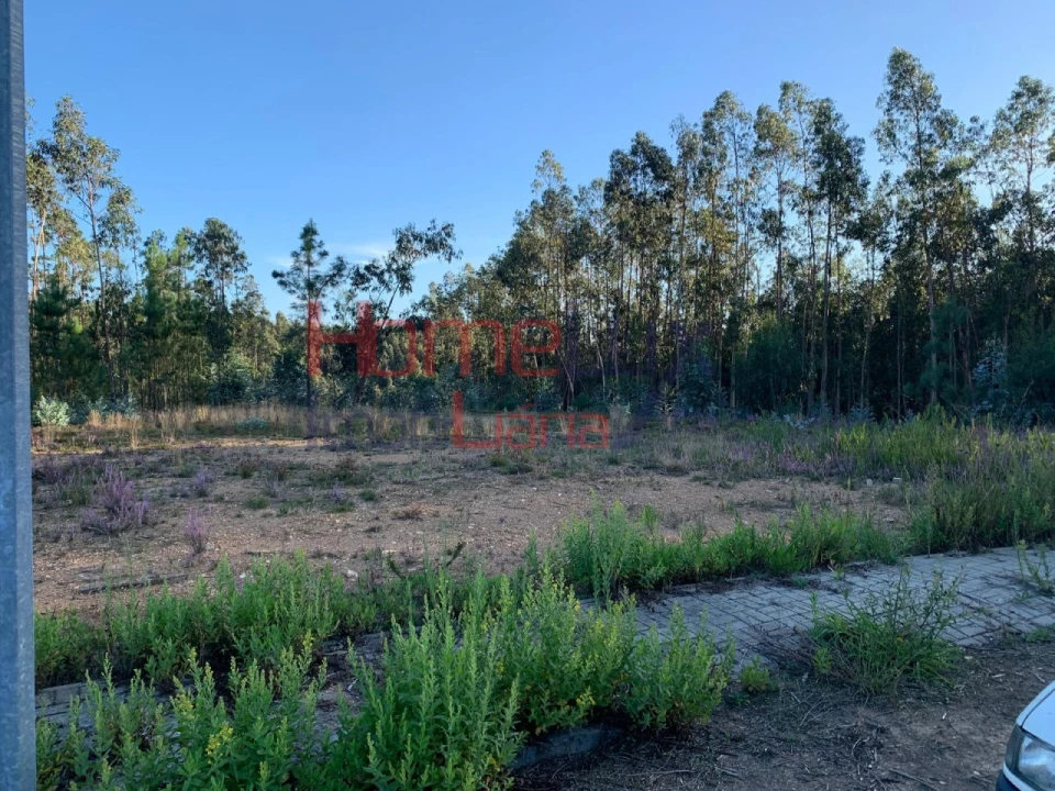 Terreno para Venda em Valongo do Vouga Foto 2