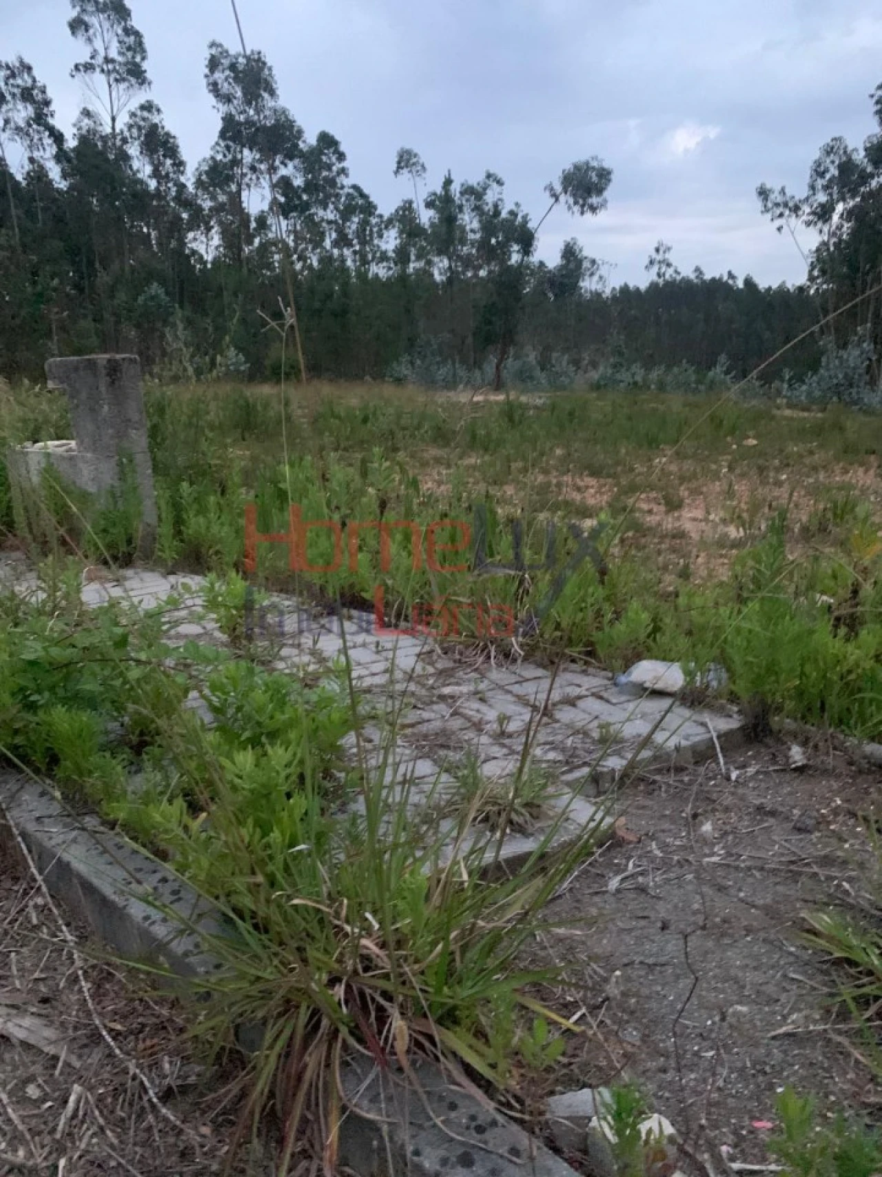 Terreno para Venda em Valongo do Vouga Foto 5