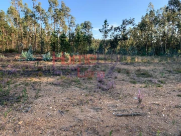 Terreno para Venda em Valongo do Vouga