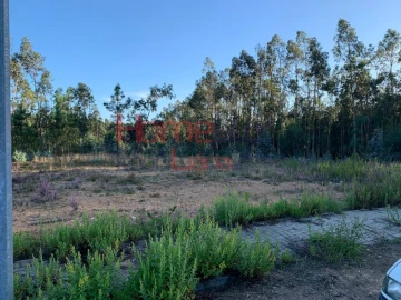 Terreno para Venda em Valongo do Vouga