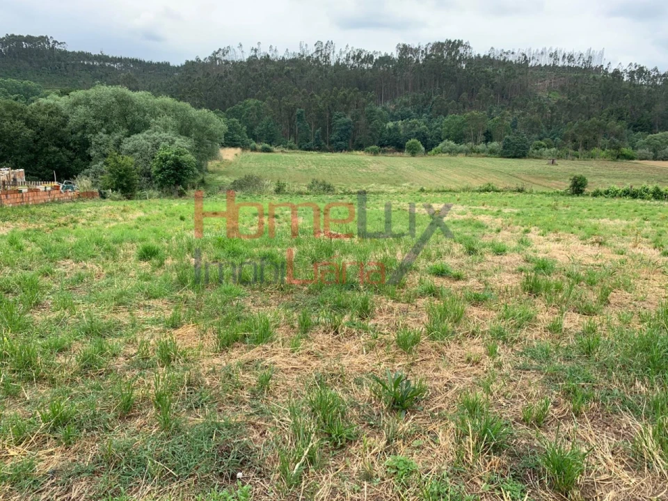 Terreno para Venda em Trofa, Segadães e Lamas do Vouga Foto 1