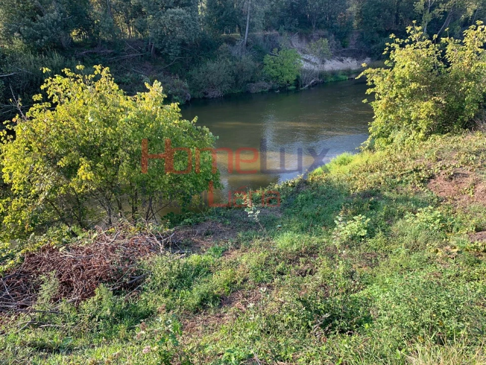 Terreno para Venda em Trofa, Segadães e Lamas do Vouga Foto 3